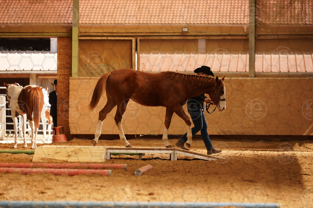 s_A9_01207.jpg